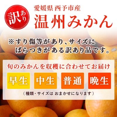 <西予市産 温州みかん 訳あり 約10kg> 温州 丸二青果 蜜柑 ミカン