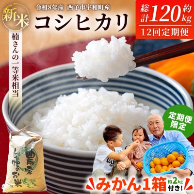 新米 <令和8年産 コシヒカリ 約10kg 12回定期便 楠さん一等米相当 みかん