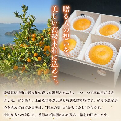 <【木箱入り】木箱+ご家庭用温州みかん> フルーツ 蜜柑媛柑 Premium Japan 