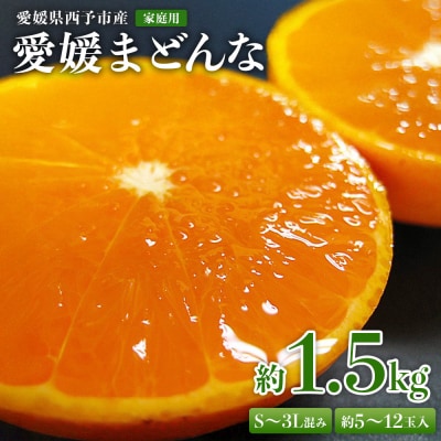 紅まどんなと同品種!<愛媛県西予市産 愛媛まどんな 家庭用 お試しパック 約1.5kg宇都宮物産