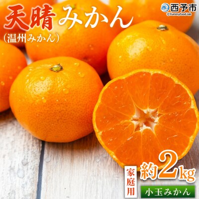 【先行受付】<愛媛県明浜産 天晴みかん(温州みかん)約2kg 小玉サイズ>家庭用 訳あり笑丸
