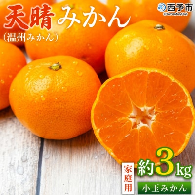 <愛媛県明浜産 天晴みかん(温州みかん)約3kg 小玉サイズ>家庭用 訳あり笑丸