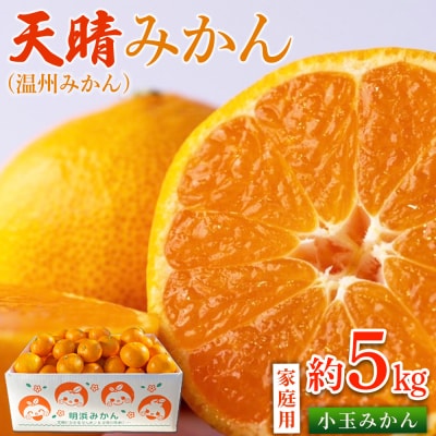 <愛媛県明浜産 天晴みかん(温州みかん)約5kg 小玉サイズ>家庭用 訳あり笑丸