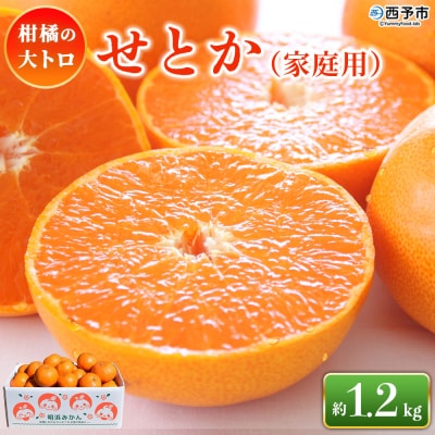 <せとか(家庭用)約1.2kg> 自宅用 訳あり セトカ　柑橘の大トロ　笑丸 