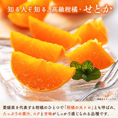 <せとか(家庭用)約1.2kg> 自宅用 訳あり セトカ　柑橘の大トロ　笑丸 