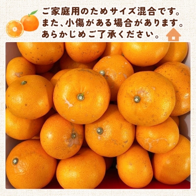 <せとか(家庭用)約1.2kg> 自宅用 訳あり セトカ　柑橘の大トロ　笑丸 