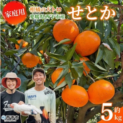 <家庭用 せとか > セトカ 訳あり 家庭用 自宅用 柑橘の大トロ とりこ農園