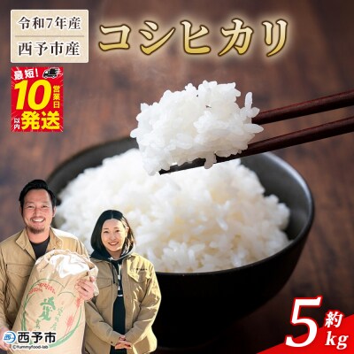 <令和7年産 西予市産 コシヒカリ 約5kg　宇都宮米穀　愛媛県産 