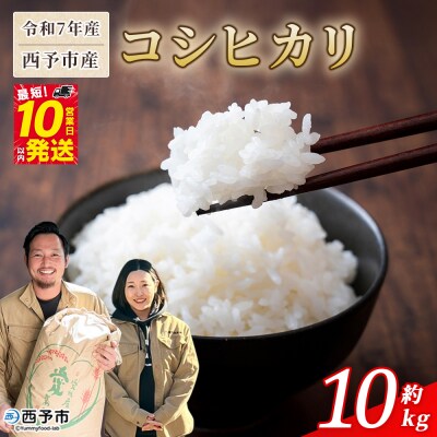 <令和7年産 西予市産 コシヒカリ10kg> 宇都宮米穀 愛媛県産 