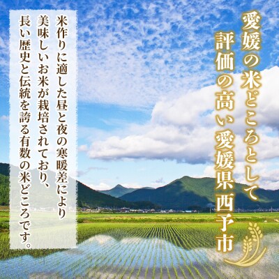 <令和7年産 西予市産 コシヒカリ10kg> 宇都宮米穀 愛媛県産 