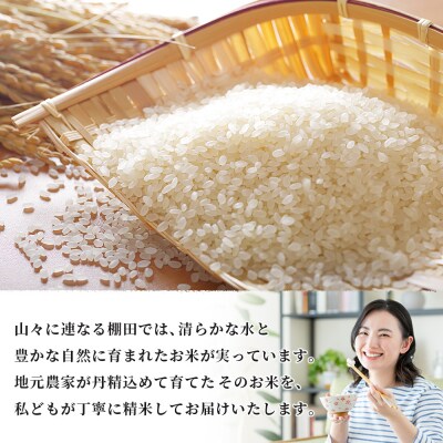 <令和7年産 西予市産 コシヒカリ10kg> 宇都宮米穀 愛媛県産 