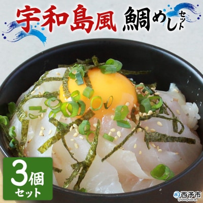  <愛媛の鯛めし宇和島風3個セット真鯛YNコーポレーション>