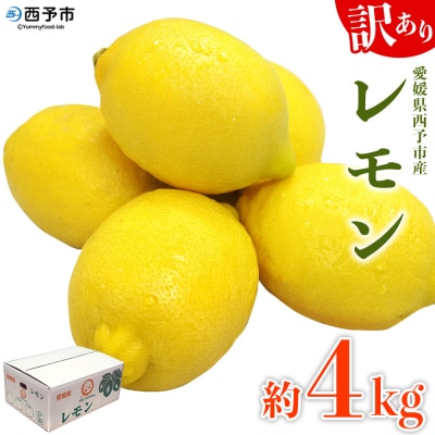 <愛媛県西予市産 訳ありレモン 約4kg> ワケアリ 家庭用 ご自宅用 れもん 檸檬 柑橘 果物