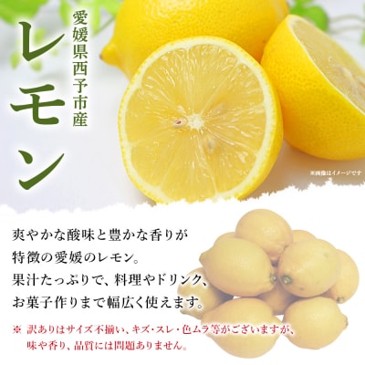 <愛媛県西予市産 訳ありレモン 約4kg> ワケアリ 家庭用 ご自宅用 れもん 檸檬 柑橘 果物