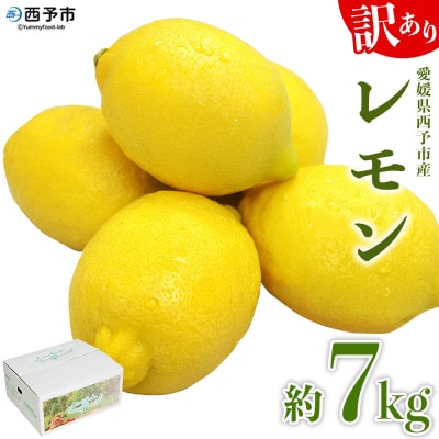 <愛媛県西予市産 訳ありレモン 約7kg> ワケアリ 家庭用 ご自宅用 れもん 檸檬 柑橘 果物