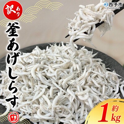 <訳あり 釜あげしらす 約1kg> 老舗網元 釜揚げ しらす シラス 海鮮 ちりめん 減塩