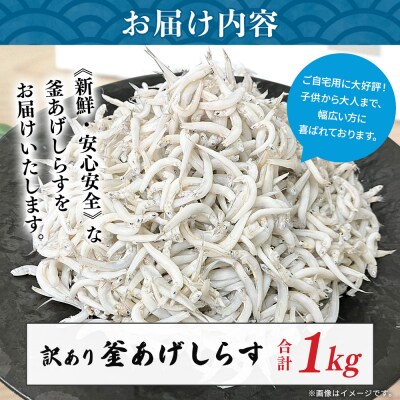 <訳あり 釜あげしらす 約1kg> 老舗網元 釜揚げ しらす シラス 海鮮 ちりめん 減塩