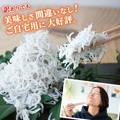 <訳あり 釜あげしらす 約1kg> 老舗網元 釜揚げ しらす シラス 海鮮 ちりめん じゃこ