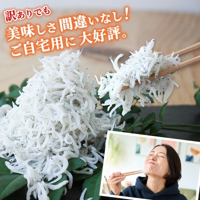 <訳あり 釜あげしらす 約1kg> 老舗網元 釜揚げ しらす シラス 海鮮 ちりめん 減塩