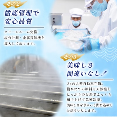 <訳あり 釜あげしらす 約1kg> 老舗網元 釜揚げ しらす シラス 海鮮 ちりめん 減塩