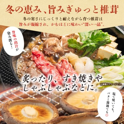 <冬季限定 原木生しいたけ 優品 約1kg> 20個前後 原木生椎茸 横林自治振興協議会