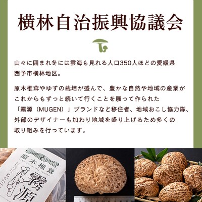 <冬季限定 原木生しいたけ 訳あり 約1kg> 20個前後 原木生椎茸 横林自治振興協議会
