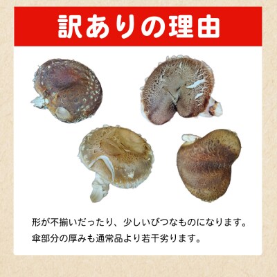 <冬季限定 原木生しいたけ 訳あり 約1kg> 20個前後 原木生椎茸 横林自治振興協議会