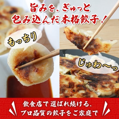 <愛媛のおいしい餃子セットもっちり餃子50個浅野食品>