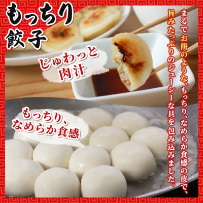 <愛媛のおいしい餃子セット2種セット 合計100個浅野食品>