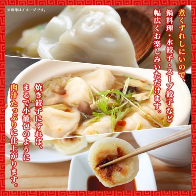 <愛媛のおいしい餃子セット2種セット 合計100個浅野食品>