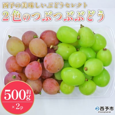 <西予の美味しいぶどう2色のつぶつぶぶどう>おいしい西予ぶどう倶楽部