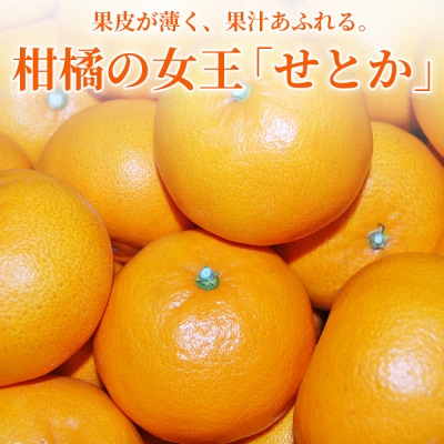 <秀品 せとか 約5kg>蜜柑 ミカン みかん 果物 丸二青果柑橘 柑橘の女王 