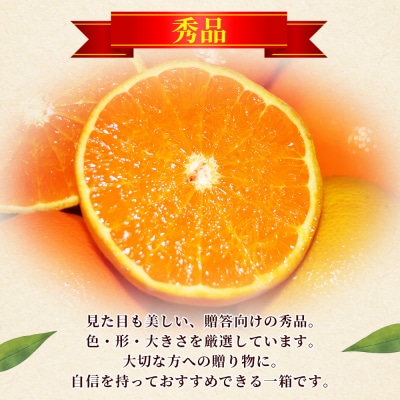 <秀品 せとか 約5kg>蜜柑 ミカン みかん 果物 丸二青果柑橘 柑橘の女王 