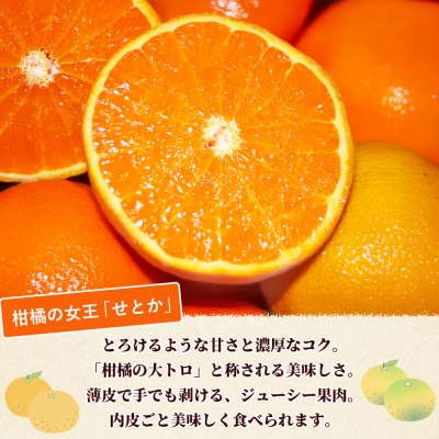 <訳あり せとか 約5kg>蜜柑 ミカン みかん 果物 フルーツ 柑橘 柑橘の女王丸二青果 