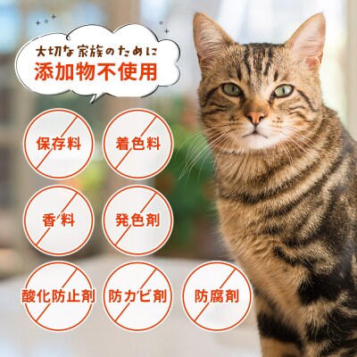 CalNyan(カルニャン)4個> 国産 詰合わせ 1袋約60g 猫 ペット