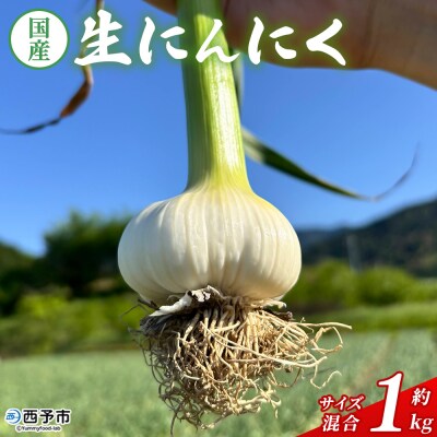 【先行予約】<生にんにく サイズ混合 約1kg> 国産 ニンニク 生 野菜