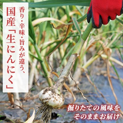 【先行予約】<生にんにく サイズ混合 約1kg> 国産 ニンニク 生 野菜