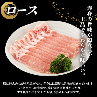 <愛媛県産 姫美豚 ロース&バラ すき焼き用食べ比べセット 約700g(350g×2P)> 