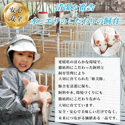 <愛媛県産 姫美豚 ロース肉 とんかつ用 約700g(約140g×5枚)> 木村屋精肉店