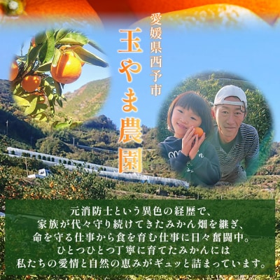 <無添加果汁100%みかんジュース 720ml×6本入>数量限定玉やま農園 