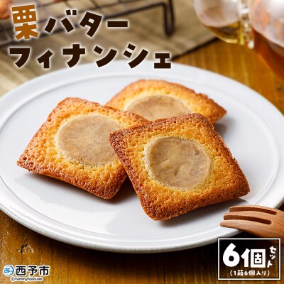 栗バターフィナンシェ6個セット 1箱6個入り メニークエスト