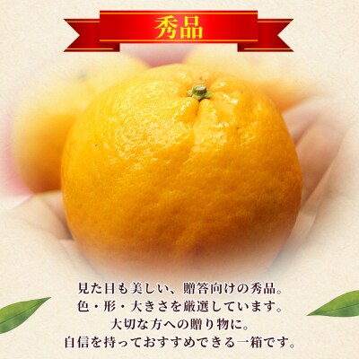 <秀品 ポンカン (M～Lサイズ) 約5kg>蜜柑 ミカン みかん 果物 丸二青果