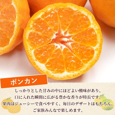 <訳あり ポンカン (サイズ混合) 約5kg丸二青果蜜柑 ミカン みかん 果物