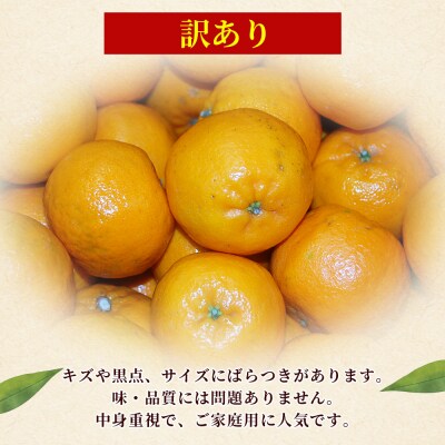 <訳あり ポンカン (サイズ混合) 約5kg丸二青果蜜柑 ミカン みかん 果物