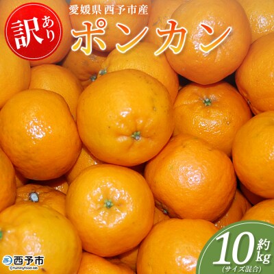 <訳あり ポンカン (サイズ混合) 約10kg 丸二青果蜜柑 ミカン みかん 果物