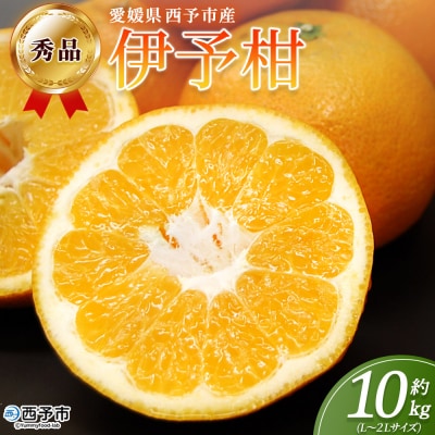 <秀品 伊予柑 (L～2Lサイズ) 約10kg>蜜柑 ミカン みかん 果物　丸二青果