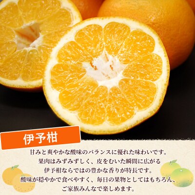<秀品 伊予柑 (L～2Lサイズ) 約10kg>蜜柑 ミカン みかん 果物　丸二青果