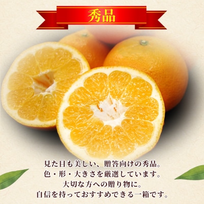 <秀品 伊予柑 (L～2Lサイズ) 約10kg>蜜柑 ミカン みかん 果物　丸二青果