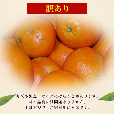 <訳あり 伊予柑 (サイズ混合) 約10kg>蜜柑 ミカン みかん　丸二青果