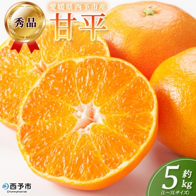 <秀品 甘平 (L～3Lサイズ) 約5kg>蜜柑 ミカン みかん 果物 柑橘 かんぺい 丸二青果